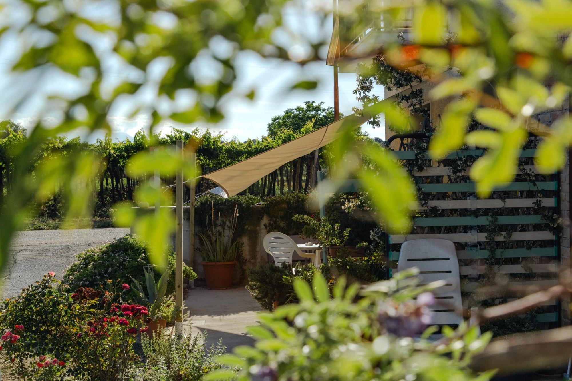 B&B La Ciammaruca Pollutri Exterior photo
